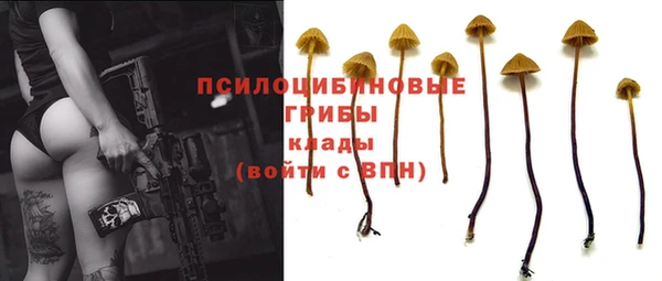 круглые Бронницы