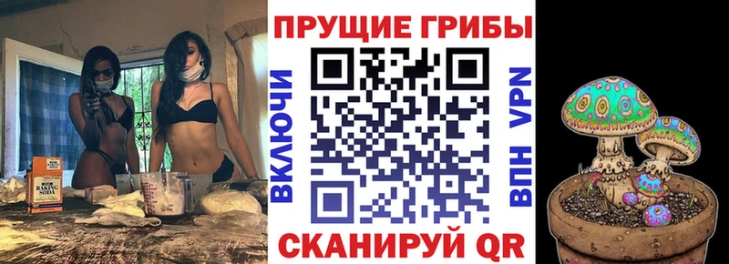 Галлюциногенные грибы Psilocybe Купить где Мосальск